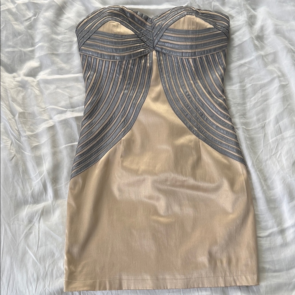 Strapless Nude and Silver Bodycon Dress
